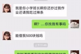 南和南和的要账公司在催收过程中的策略和技巧有哪些？