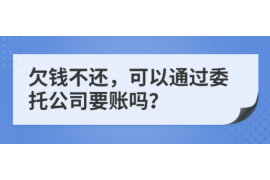 南和遇到恶意拖欠？专业追讨公司帮您解决烦恼